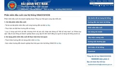 Viet Nam Customs Intelligence System VNACCS/VCIS